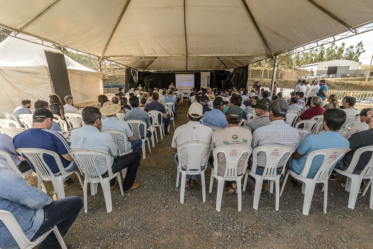 Dia de Campo Palini & Alves Carmo do Rio Claro