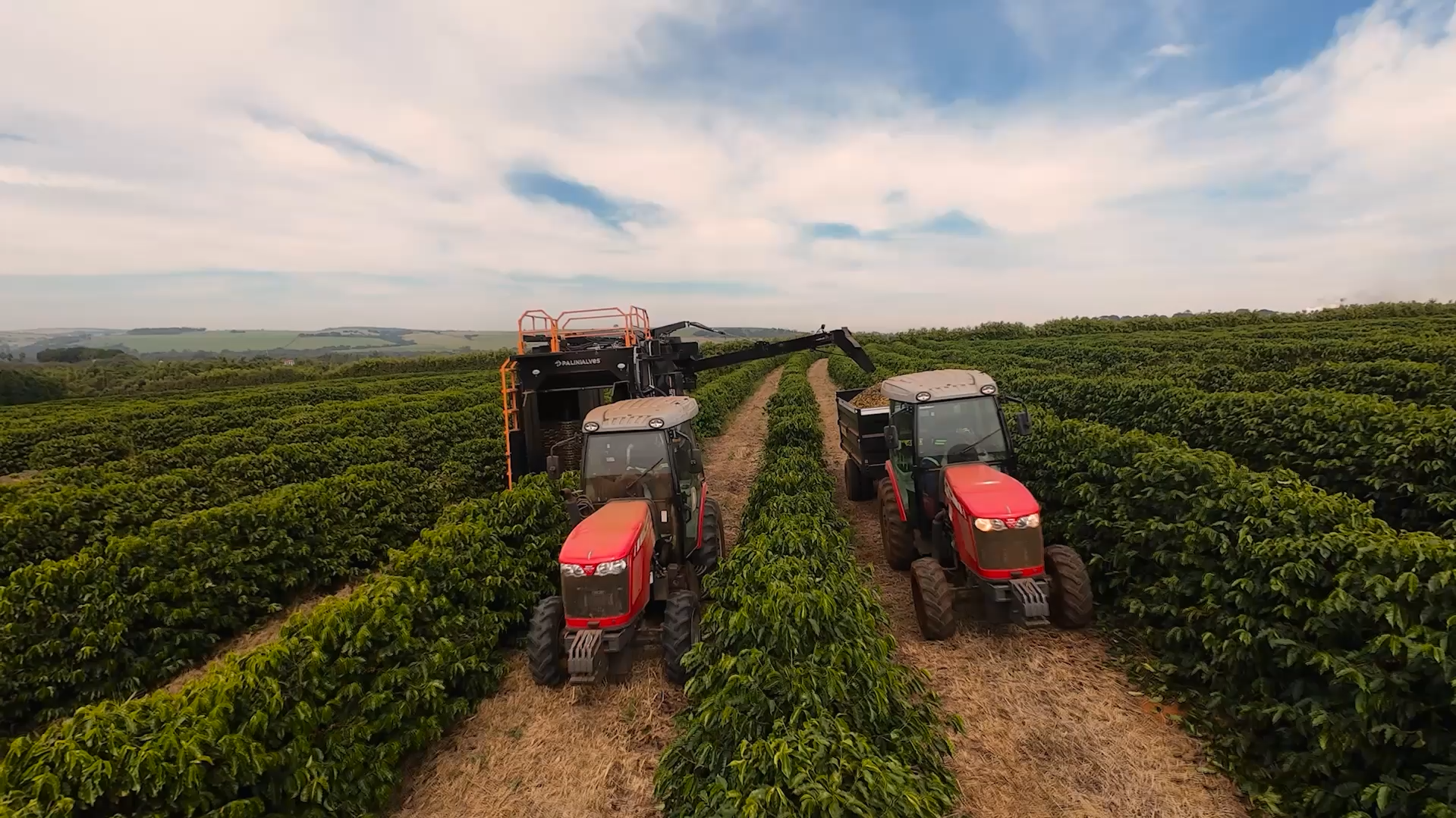 80 HECTARES PARA SEREM COLHIDOS. UMA COLHEITA PARA ENTREGAR EFICIÊNCIA, AUTONOMIA E RESULTADO.