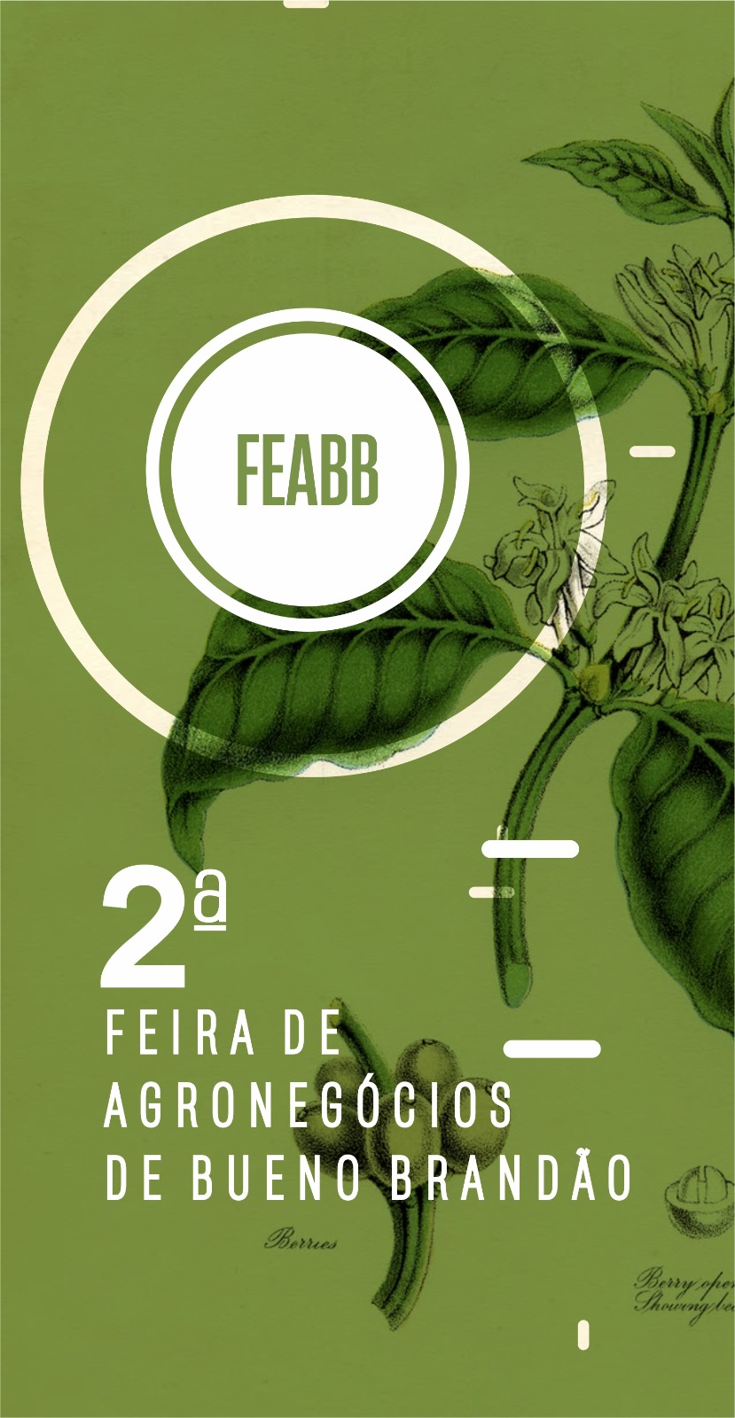 2 FEIRA DE AGRONEGÓCIOS DE BUENO BRANDÃO